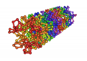 1K6F_Crystal_Structure_Of_The_Collagen_Triple_Helix_Model_Pro-_Pro-Gly103_05